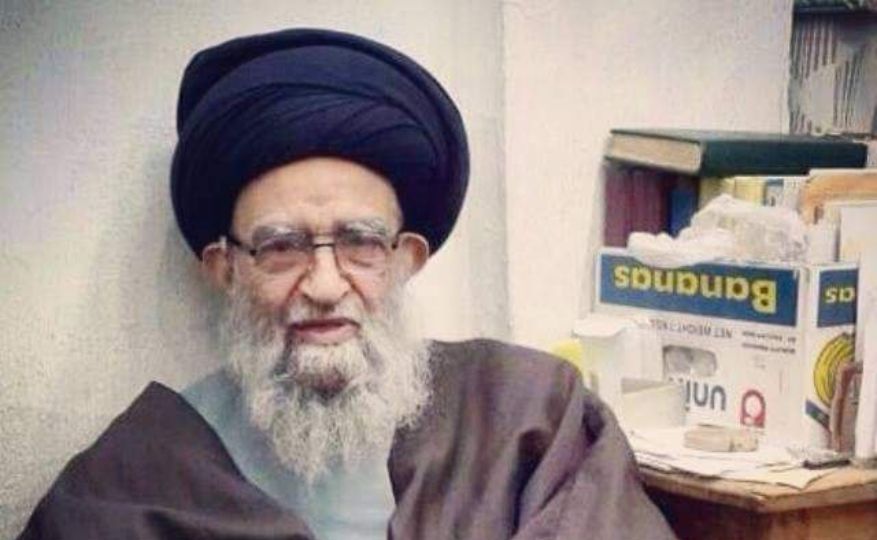 فقیه مورّخ